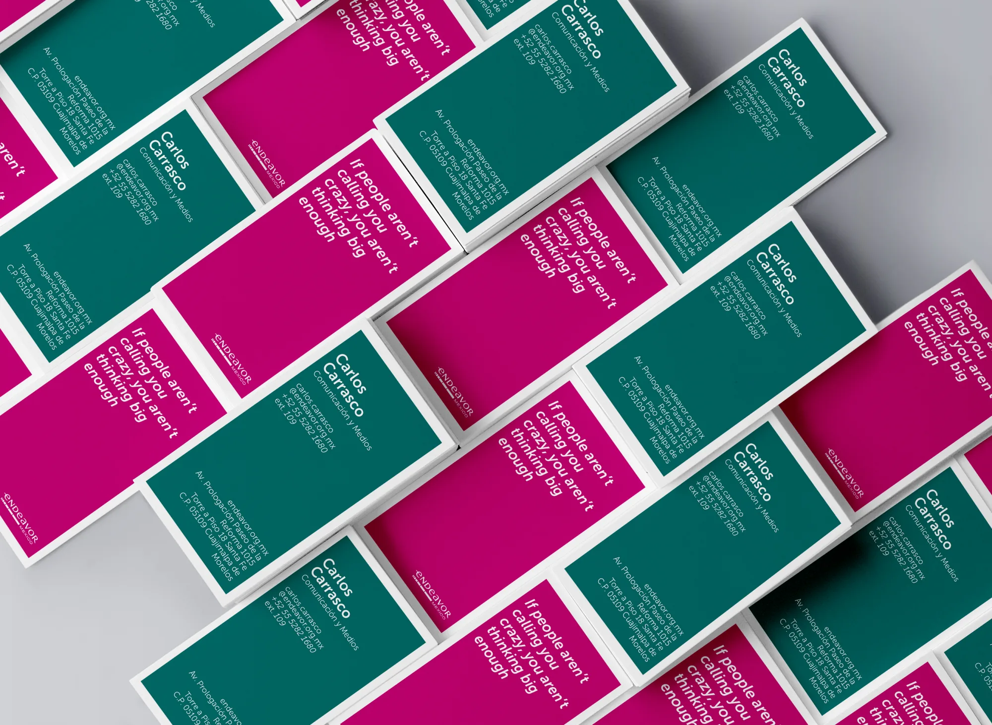 Pieza grafica del programa Endeavor Mexico 2015.