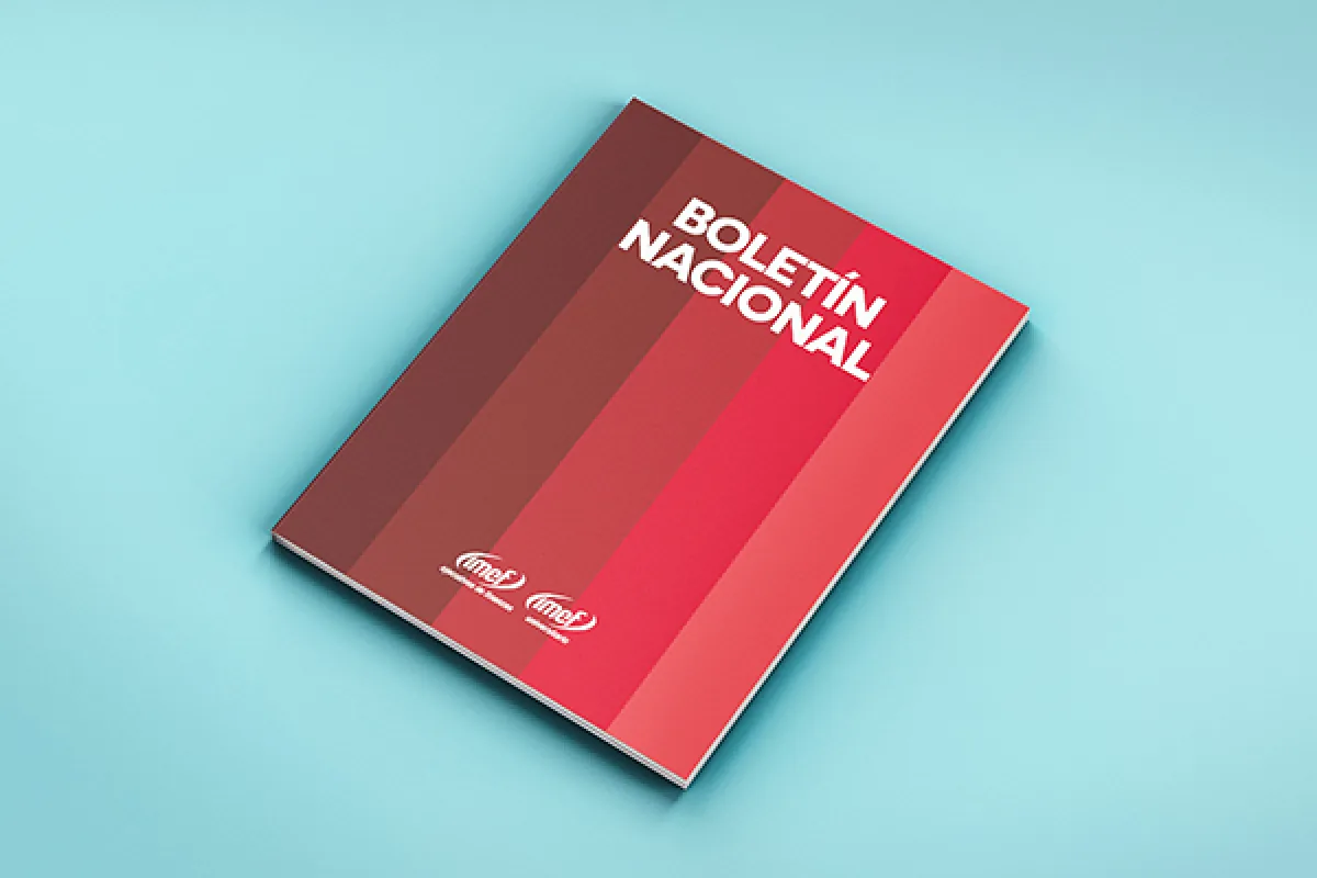 Interiores del Boletin Nacional IMEF Universitario.