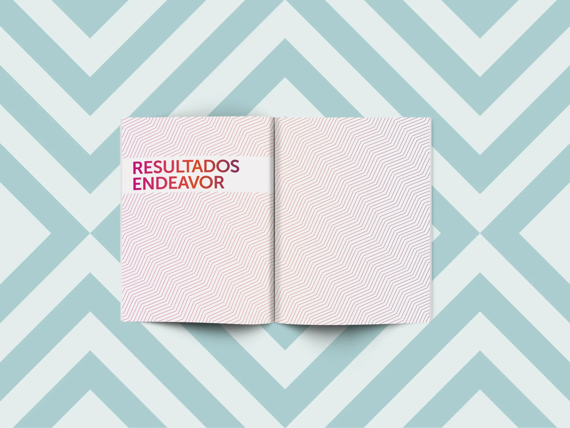 Portada impresa del Impact Report 2014-2015 de Endeavor Mexico.