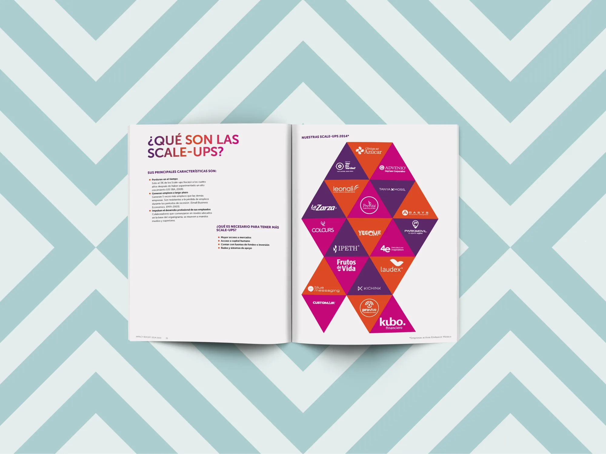 Paginas interiores del Impact Report.